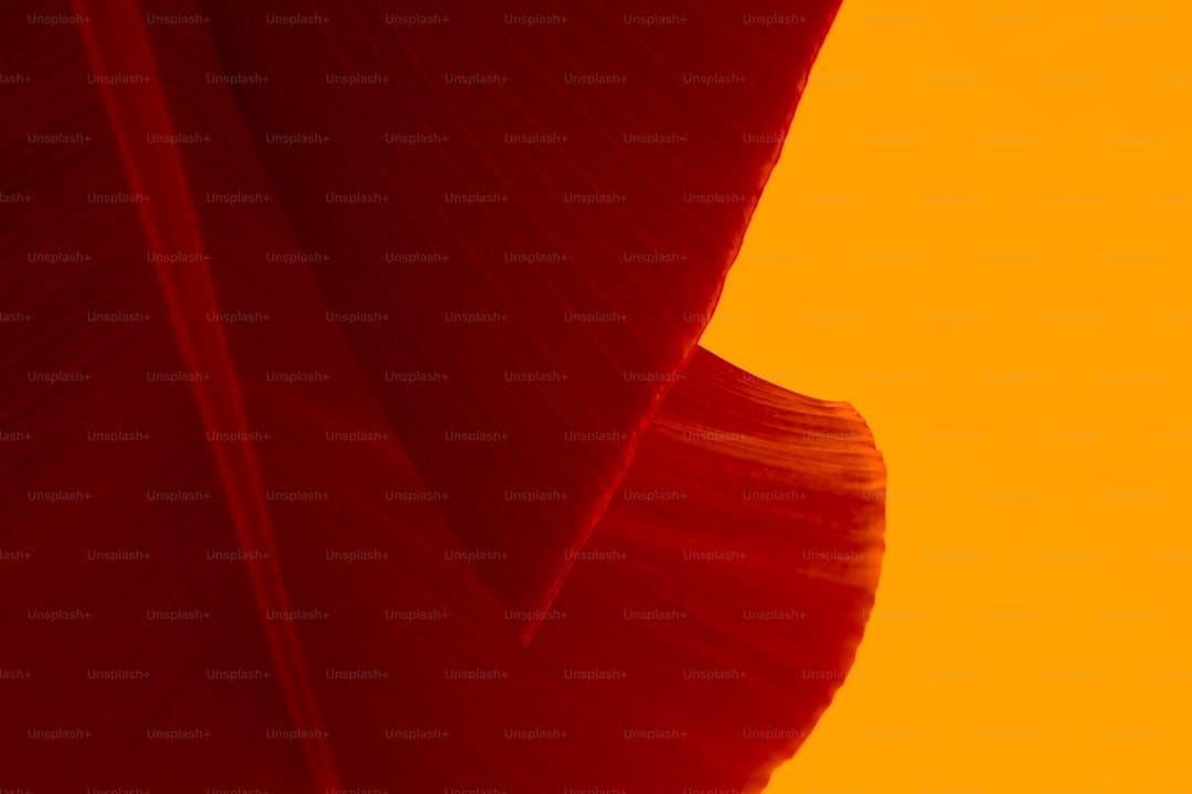 https://picture01.52hrttpic.com/image/infoImage/202508/02/fbcdfef3e72864846b04749a8101f5b54.jpeg?1080x810